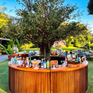 Bar Diamond - Timber Pub - 350
